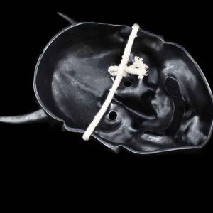 Masque Hannya Décoration